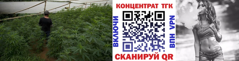 наркошоп  Мегион  Дистиллят ТГК вейп 