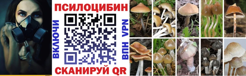Галлюциногенные грибы Cubensis  купить закладку  Мегион 